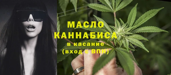 экстази Ельня