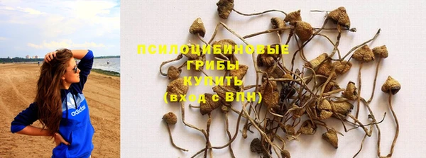 марки nbome Заводоуковск