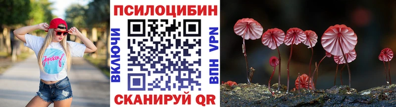 omg онион  Ковдор  Галлюциногенные грибы Psilocybine cubensis  купить  